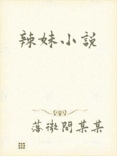 辣妹小说