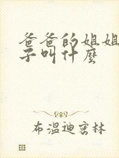 爸爸的姐姐的儿子叫什么