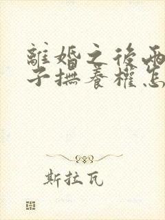 离婚之后两个孩子抚养权怎么判