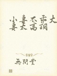 小妻不乖大佬宠妻太高调