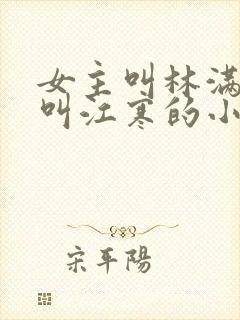 女主叫林满男主叫江寒的小说