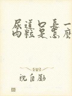 尿道口长一些小肉粒是怎么回事啊已