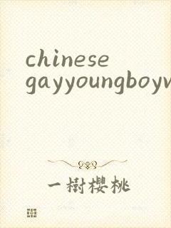 chinesegayyoungboyvideo封面