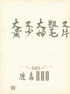 大又大粗又爽又黄少妇毛片封面