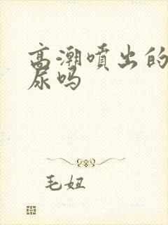 高潮喷出的水是尿吗