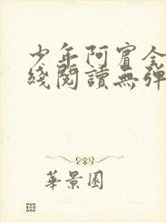 少年阿宾全文在线阅读无弹窗