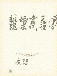 离婚当天,前夫跪求我复合全集