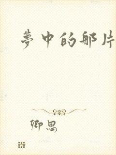 梦中的那片海,