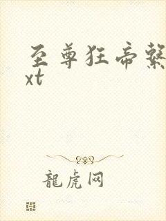 至尊狂帝系统txt封面