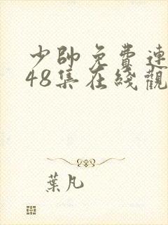 少帅免费连续剧48集在线观看高清版