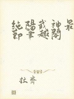 纯阳武神最新章节笔趣阁