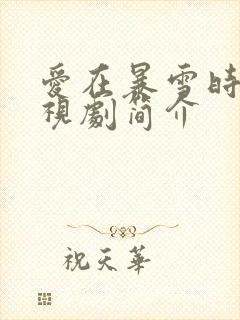 爱在暴雪时分电视剧简介