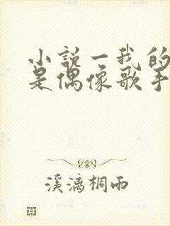 小说一我的房东是偶像歌手封面