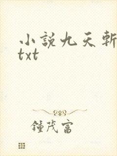 小说九天斩神诀txt