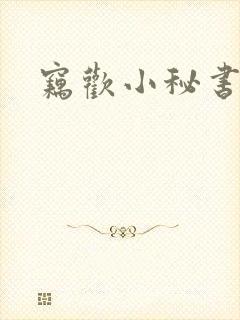 窃欢小秘书
