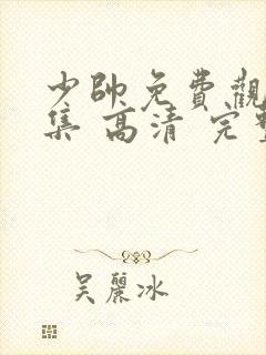 少帅免费观看全集 高清 完整