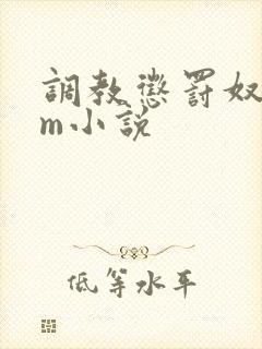 调教惩罚奴隶sm小说封面