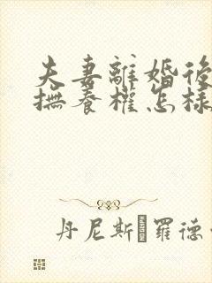 夫妻离婚后孩子抚养权怎样判定