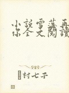小说雪落再说爱你全文阅读封面