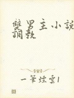 双男主小说sm调教