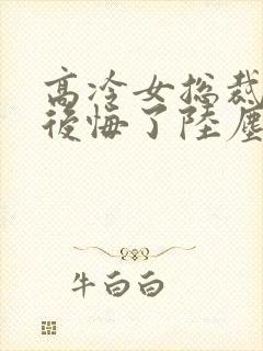 高冷女总裁离婚后悔了陆尘完整版