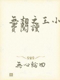 无相之王小说免费阅读
