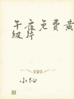 午夜免费黄色一级片