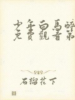 少年白马醉春风免费观看第16集