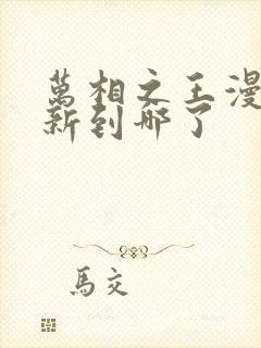 万相之王漫画更新到哪了