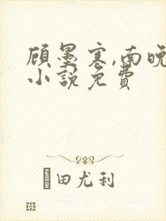 顾墨寒,南晚烟小说免费