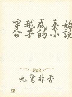 穿越成秦始皇二公子的小说