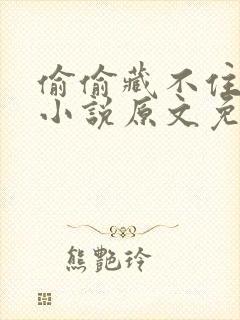 偷偷藏不住竹已小说原文免费阅读