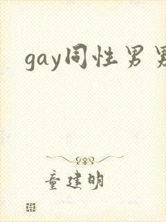 gay同性男男