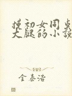 摸初女同桌胸和大腿的小说封面