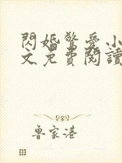 闪婚惊爱小说全文免费阅读