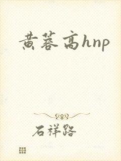 黄蓉高hnp