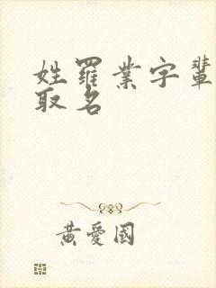 姓罗业字辈男孩取名