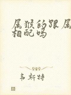 属猴的跟属龙的相配吗