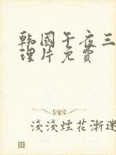 韩国午夜三级伦理片免费