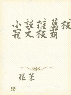 小说推荐校园甜宠文校霸