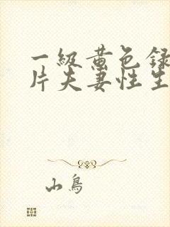 一级黄色录像影片夫妻性生活片