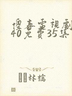 傻春电视剧全集40免费35集