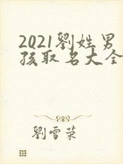 2021刘姓男孩取名大全