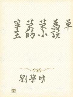 宁荣荣为单一女主的小说