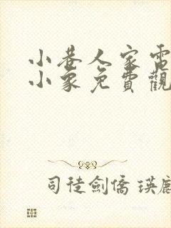 小巷人家电视剧小象免费观看封面