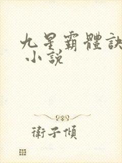 九星霸体诀龙尘 小说封面