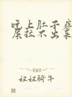 晚上肚子疼想拉屎拉不出来怎么回事封面