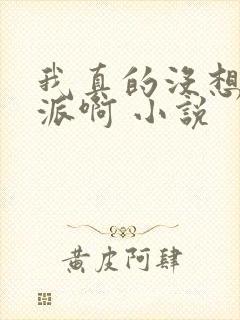 我真的没想当反派啊 小说