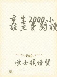 重生2000小说免费阅读无弹窗