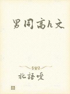 男同高h文